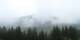 Morgins 24.03.2025 10:20