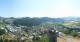 Griffen 06.07.2025 10:29