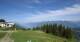 Aprica 18.06.2025 10:29