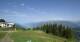 Aprica 14.06.2025 10:29