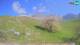 Kobarid 01.05.2025 10:30