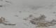 St. Moritz 20.04.2025 10:29