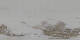 St. Moritz 09.05.2025 10:29