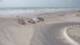Corpus Christi, Texas 30.04.2025 10:31