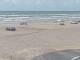 Corpus Christi, Texas 02.07.2025 10:30