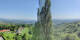 Kitzeck im Sausal 30.04.2025 10:31