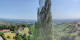 Kitzeck im Sausal 12.06.2025 10:30