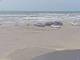 Corpus Christi, Texas 19.06.2025 10:30