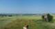 Schallodenbach 14.06.2025 10:31