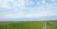 Westerhever 15.06.2025 10:31