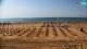 Bibione 30.04.2025 10:32