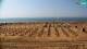 Bibione 29.04.2025 10:32