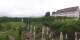 Herrnchiemsee 08.06.2025 10:30