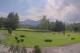 Kitzbühel 15.07.2025 10:34