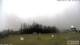 Burnt Pine (Norfolk Island) 02.07.2025 10:32