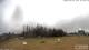 Burnt Pine (Norfolk Island) 09.06.2025 10:32
