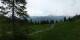 Luchsingen 15.06.2025 10:31