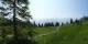 Luchsingen 09.06.2025 10:31
