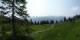 Luchsingen 09.06.2025 10:31