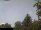 Miehlen 09.06.2025 10:33