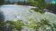 Bovec 15.06.2025 10:32