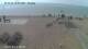 Pagham 15.07.2025 10:34