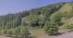 Hirschegg 15.06.2025 10:33