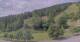 Hirschegg 11.07.2025 10:33