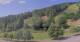 Hirschegg 05.07.2025 10:33