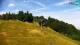 Maribor 15.06.2025 10:33