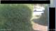 Hasloch am Main 10.07.2025 10:33