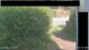 Hasloch am Main 15.06.2025 10:33