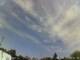 Zerbst/Anhalt 30.04.2025 10:34