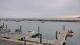 Port-en-Bessin-Huppain 09.06.2025 10:34