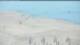 Petten 01.05.2025 10:34