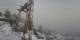 Maloja 09.05.2025 10:36