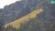 Kranjska Gora 03.07.2025 10:34