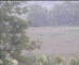 Wyk auf Föhr 08.06.2025 10:49