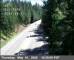 Pollock Pines, California 30.04.2025 10:35