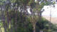 Markgrafenheide 15.06.2025 10:34