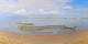 Saint-Brevin-les-Pins 15.06.2025 10:03