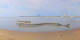 Saint-Brevin-les-Pins 01.05.2025 10:09