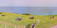 Donville-les-Bains 01.05.2025 10:11
