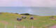 Donville-les-Bains 09.07.2025 10:03