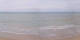 Saint-Pair-Sur-Mer 01.05.2025 10:11