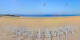 Pornichet 11.06.2025 10:06