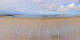 Pornichet 14.06.2025 10:06