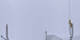 Crans-Montana 06.05.2025 10:34