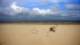 Berck-sur-Mer 06.05.2026 10:22