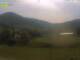 Münstertal (Schwarzwald) 09.05.2025 10:49